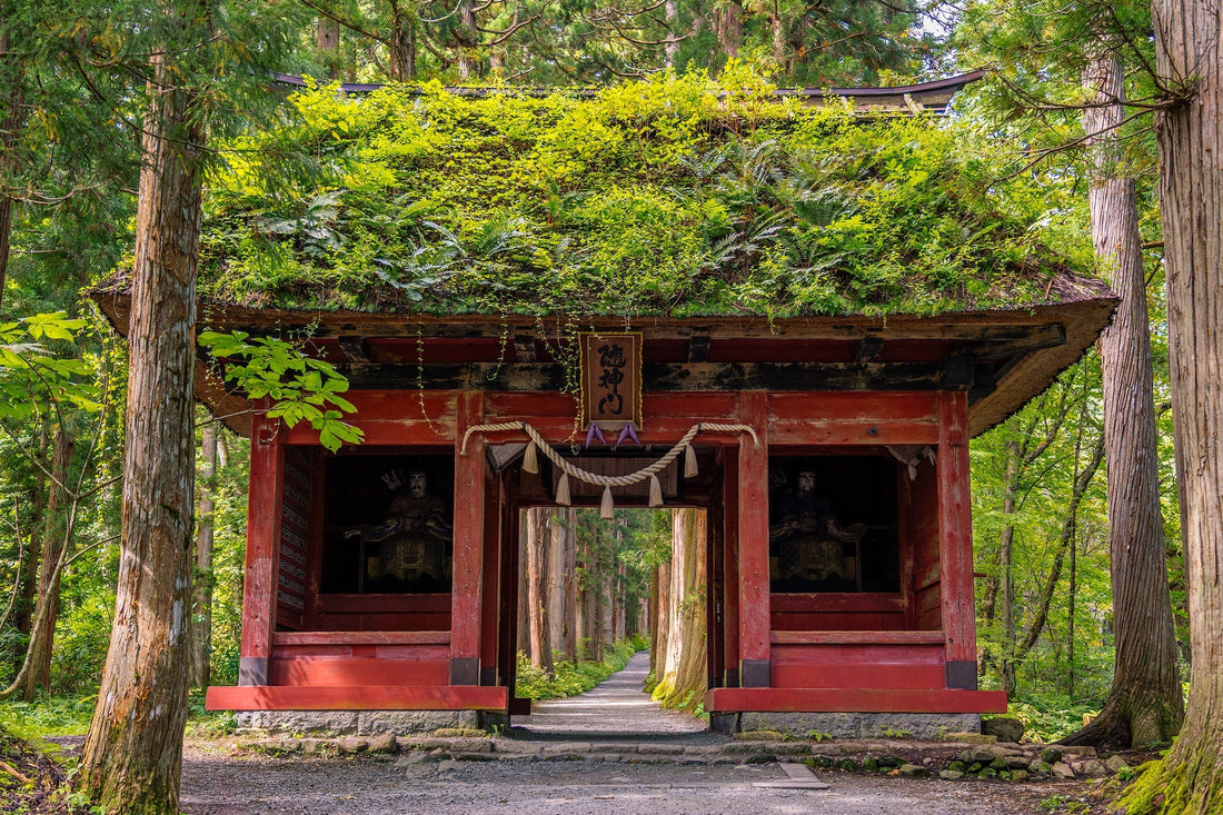 I met an Old Japanese guy that knew the Arizona Diamondbacks ⁉️🤯