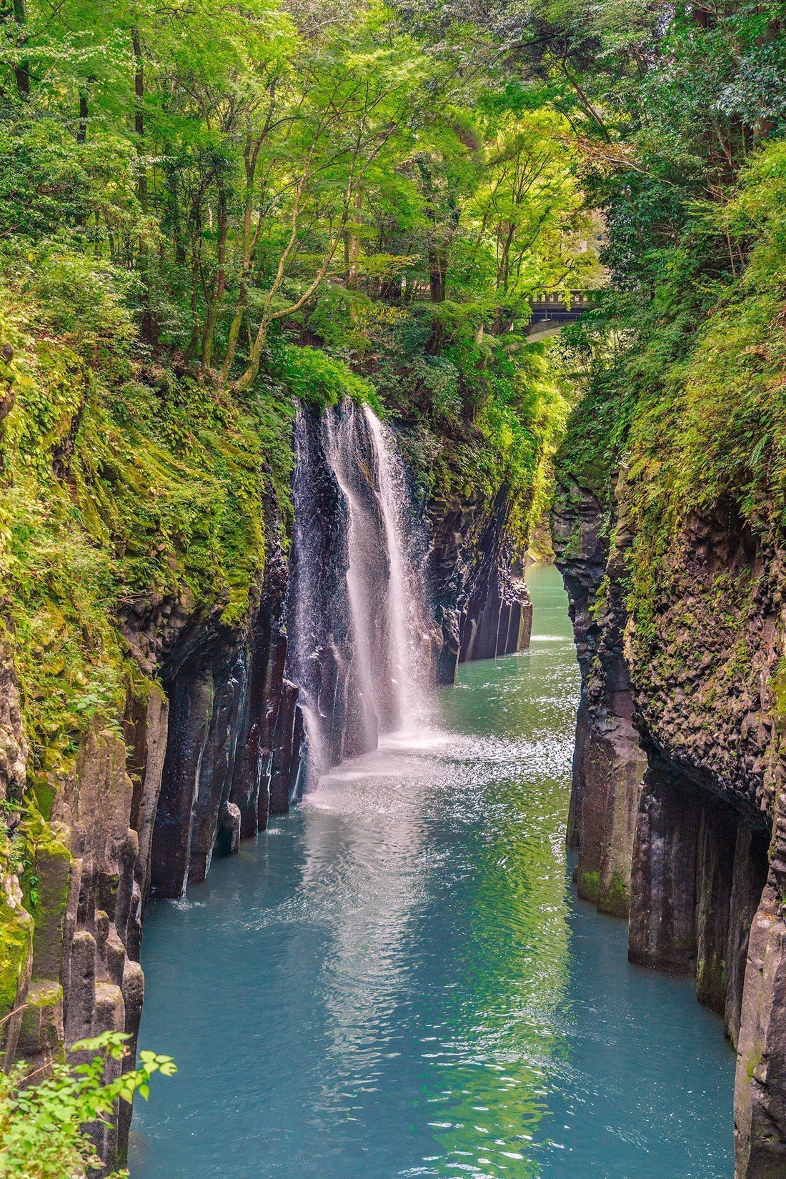 Catching Noodles, Chasing Waterfalls, and Making a Friend đđ