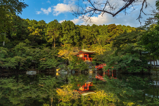 What's That Smell? A Story From Kyoto! βοΈπ