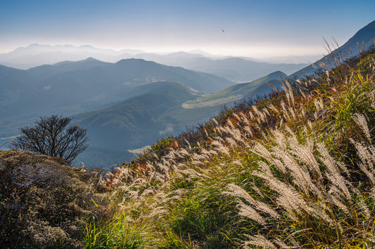From Atop Mount Tsurumi 鶴見山
