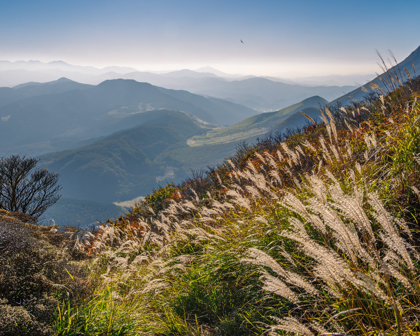 From Atop Mount Tsurumi 鶴見山