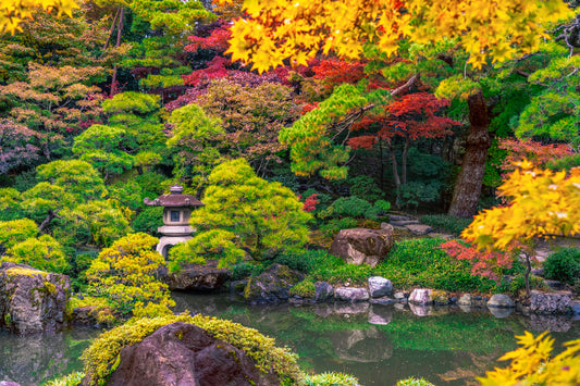 Fall Colors of Niigata Saito Villa 新潟斉藤別邸