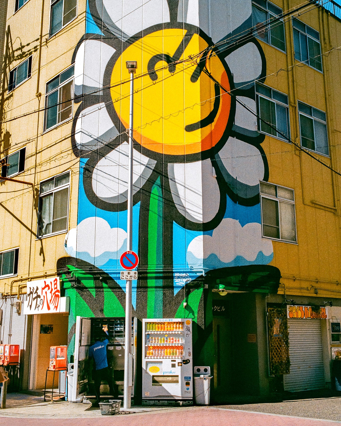 Painted Flower 花
