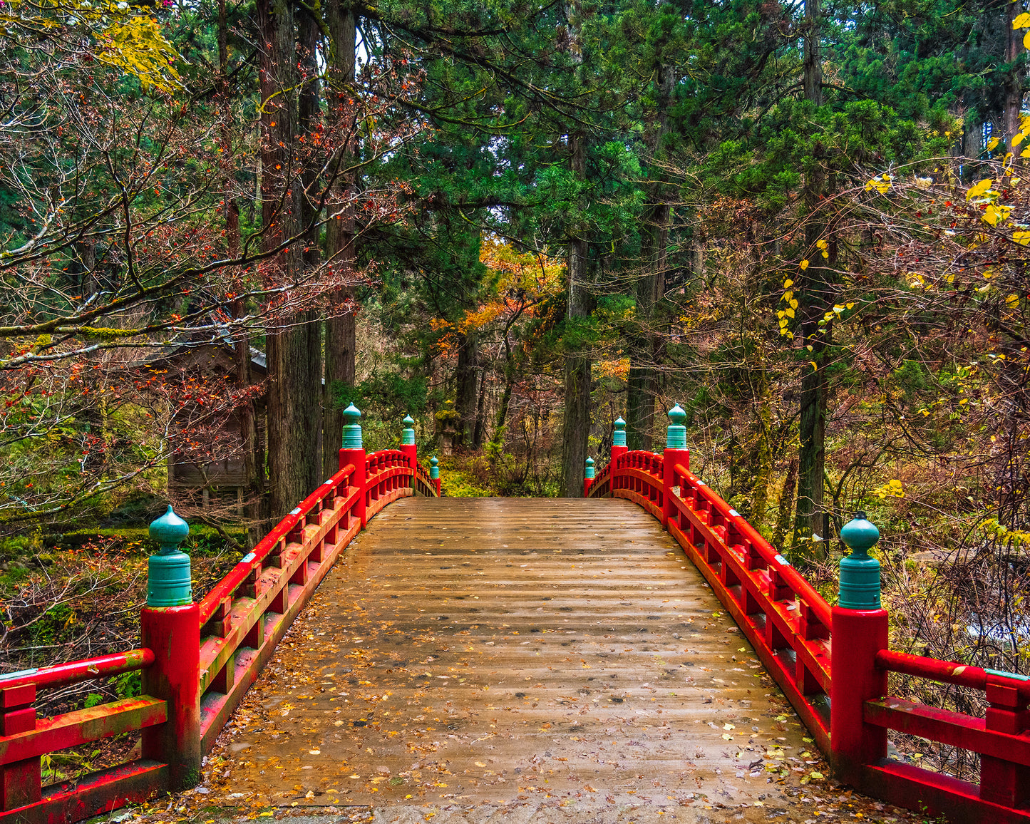 Shinkyo Bridge 神橋