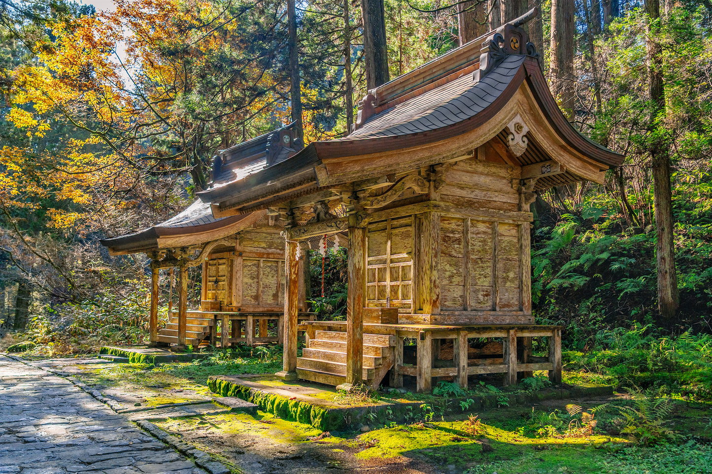 Shrines Lining the Ishidan Trail 石段