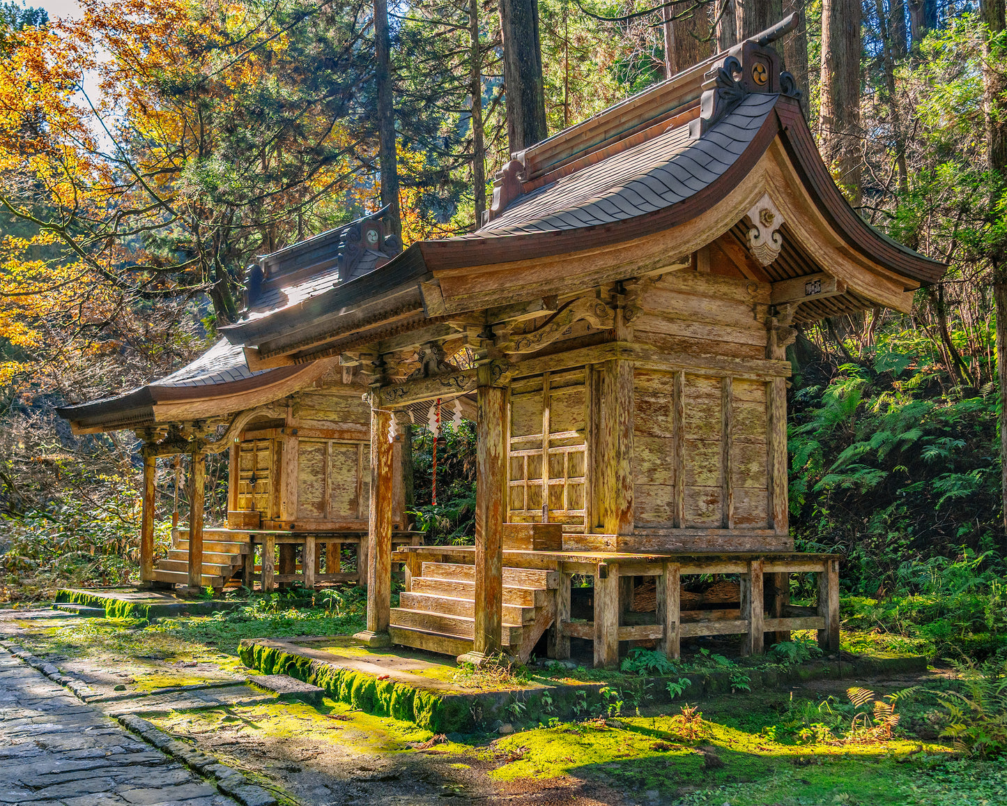 Shrines Lining the Ishidan Trail 石段