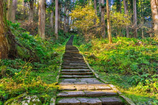 Stone Steps of the Mamakozaka slope ママコ坂
