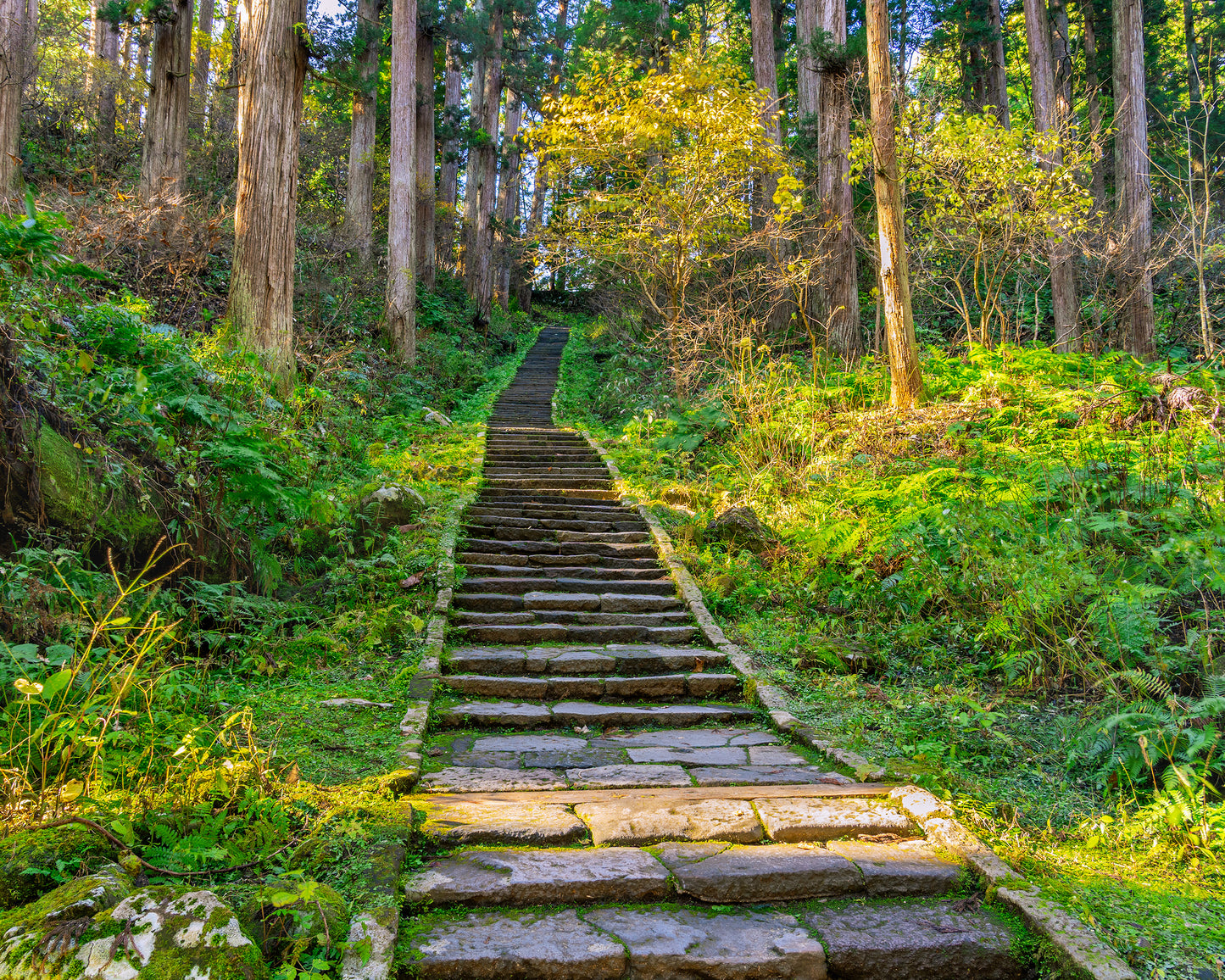 Stone Steps of the Mamakozaka slope ママコ坂