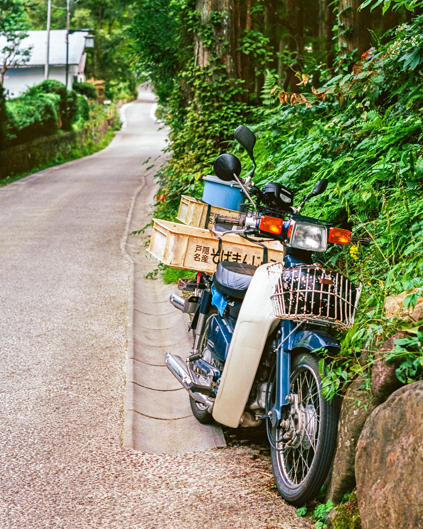 The Road Less Traveled