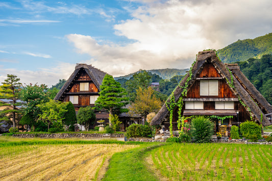 Neighbors in Paradise 楽園の隣人