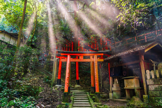 Sun Rays Over Torii Gate 鳥居