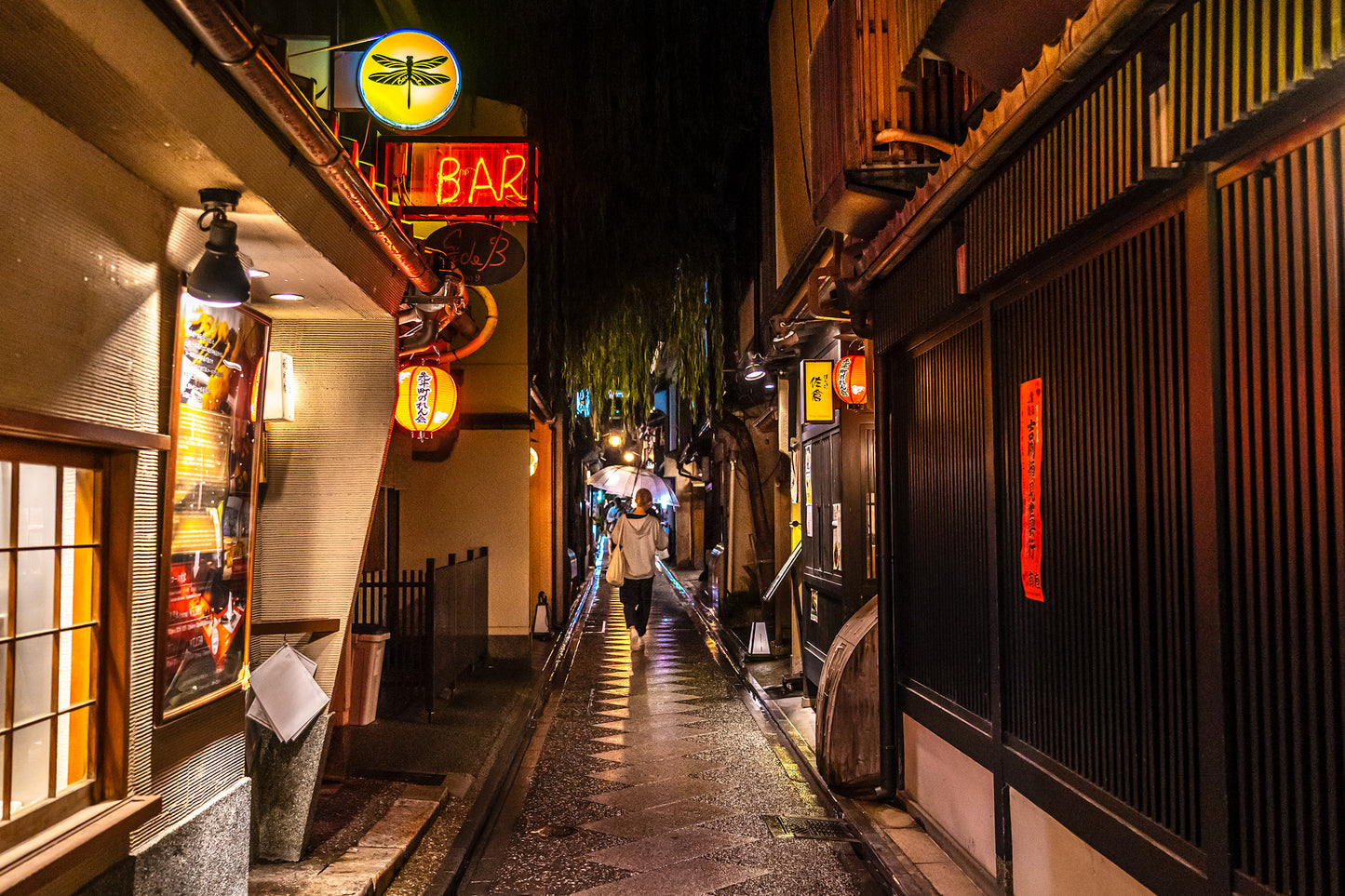 Rainy Kyoto Night 京都
