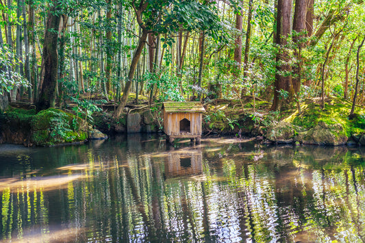 Tenju-an Temple Garden 天授庵