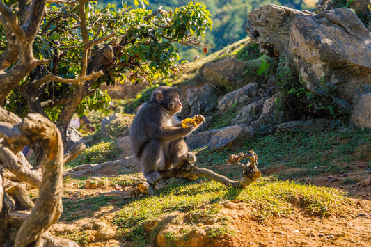 Lunch Break 昼休み