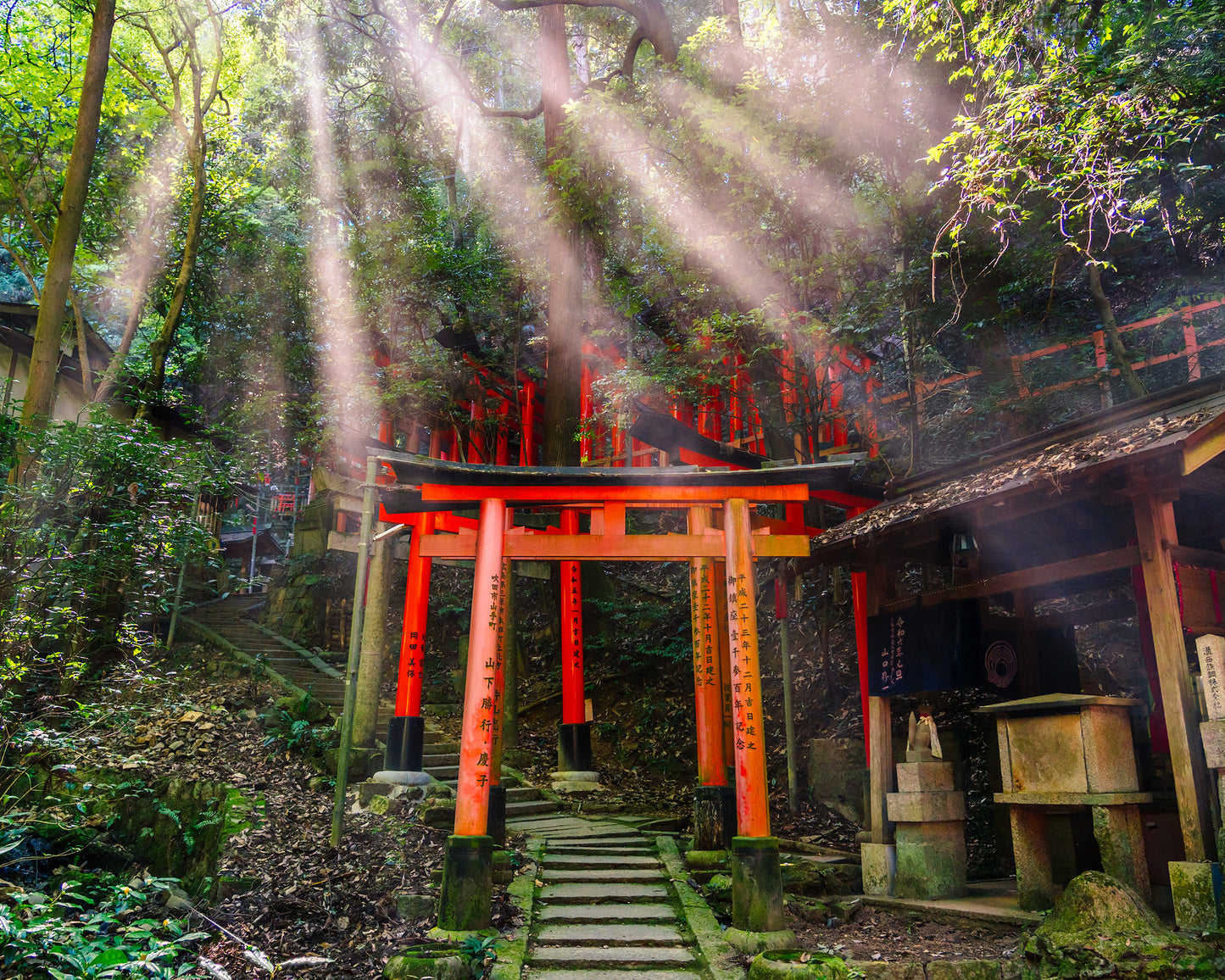 Sun Rays Over Torii Gate 鳥居