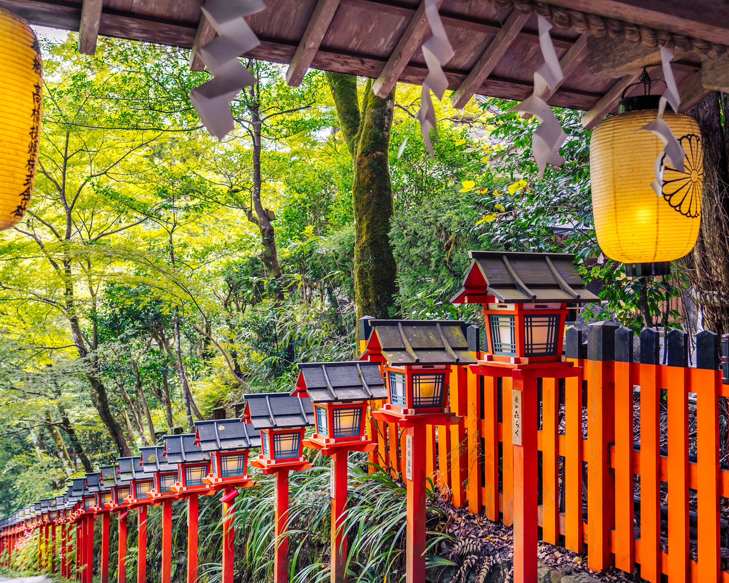 Pathway to Kifune Shrine 貴船神社