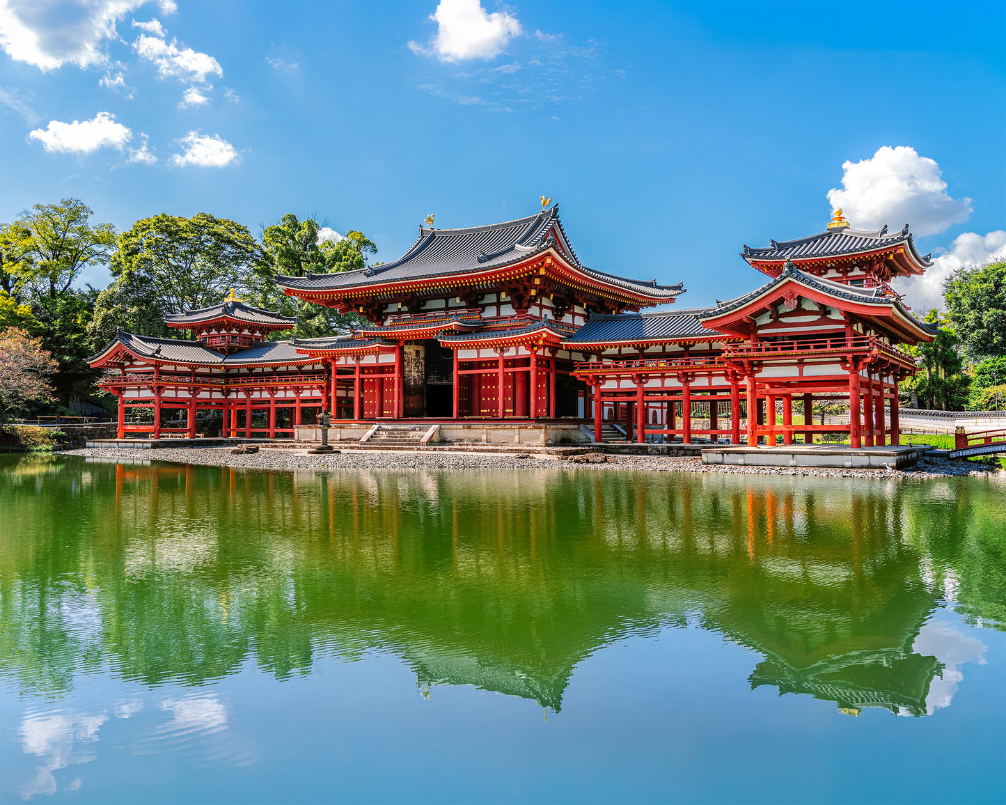 Reflections in the Water 水の反射