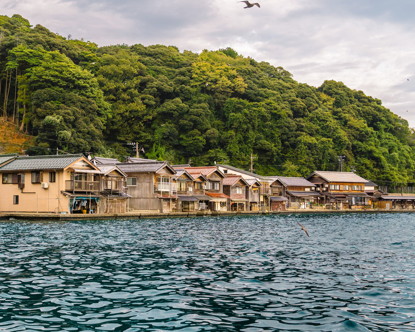Ine Boathouses 舟屋