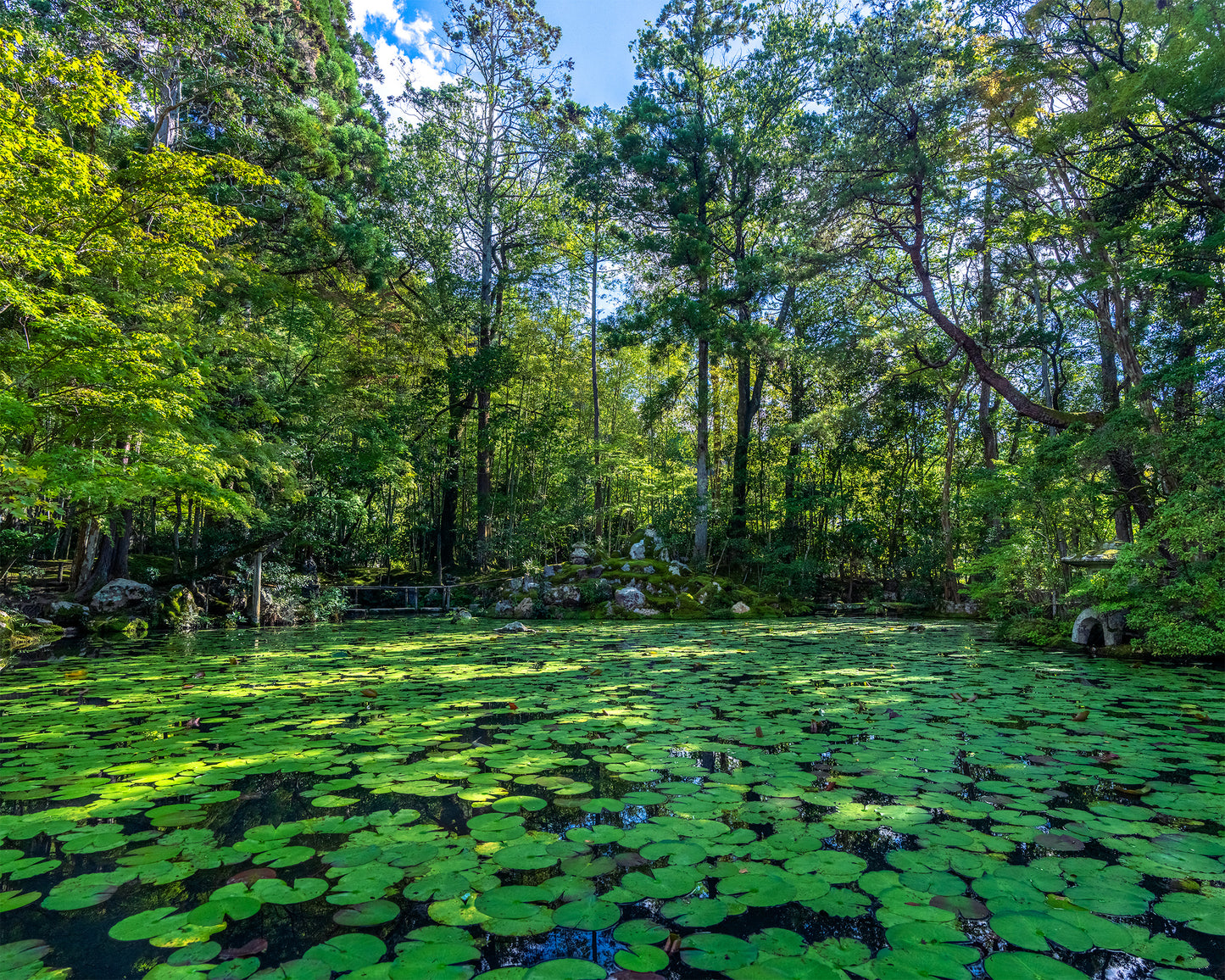 Pond Garden at Tenjuan Temple 天授庵