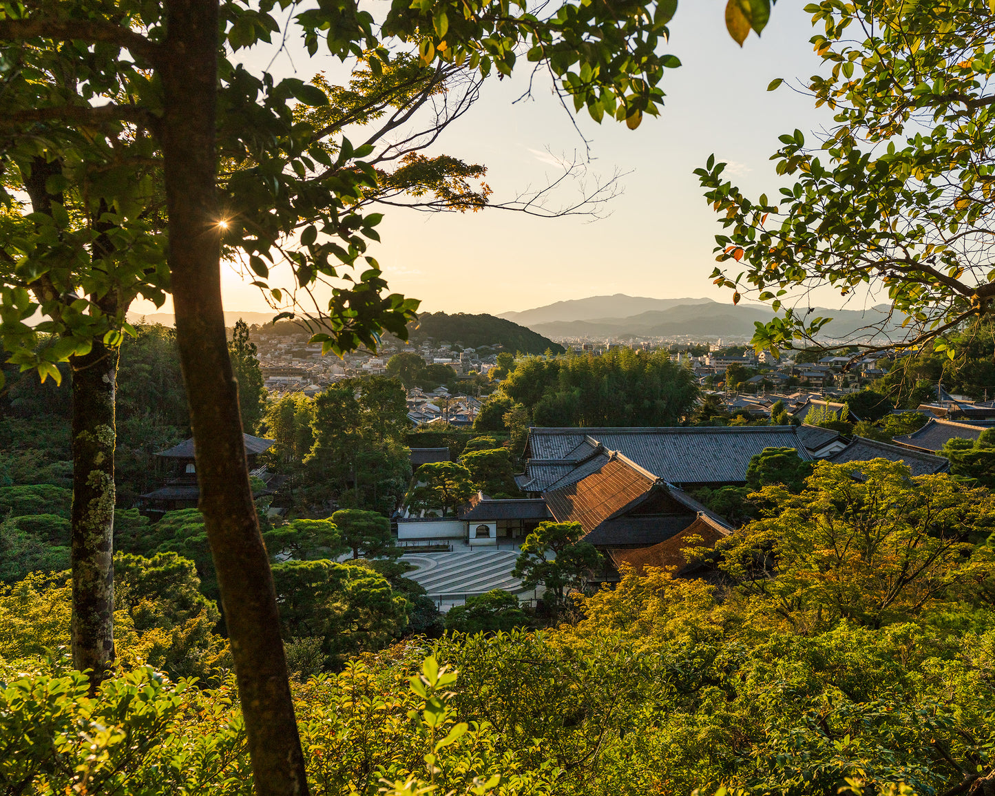 Light Peaking through at Jisho Ji 慈照寺