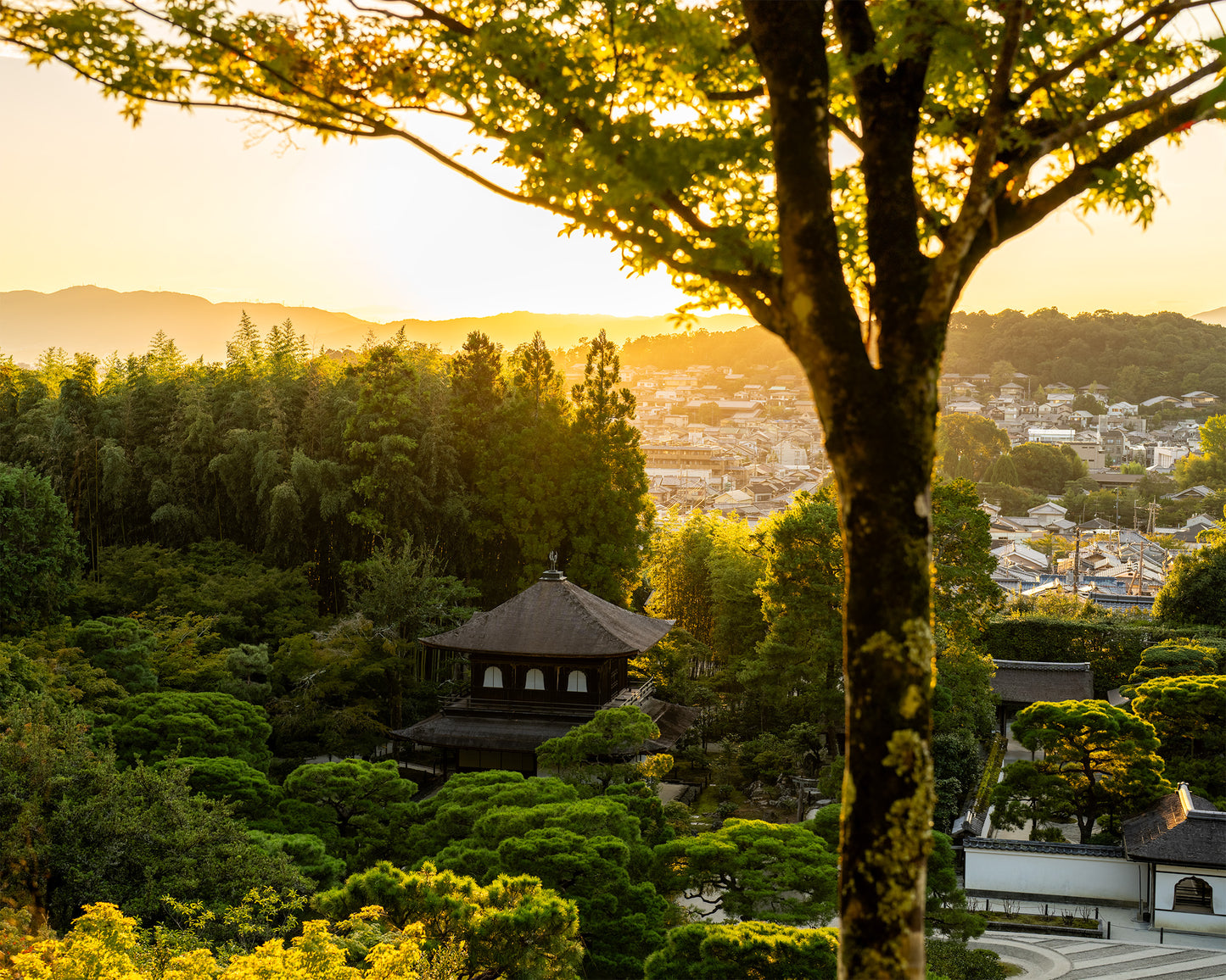 Golden Hour at Togudo 東求堂
