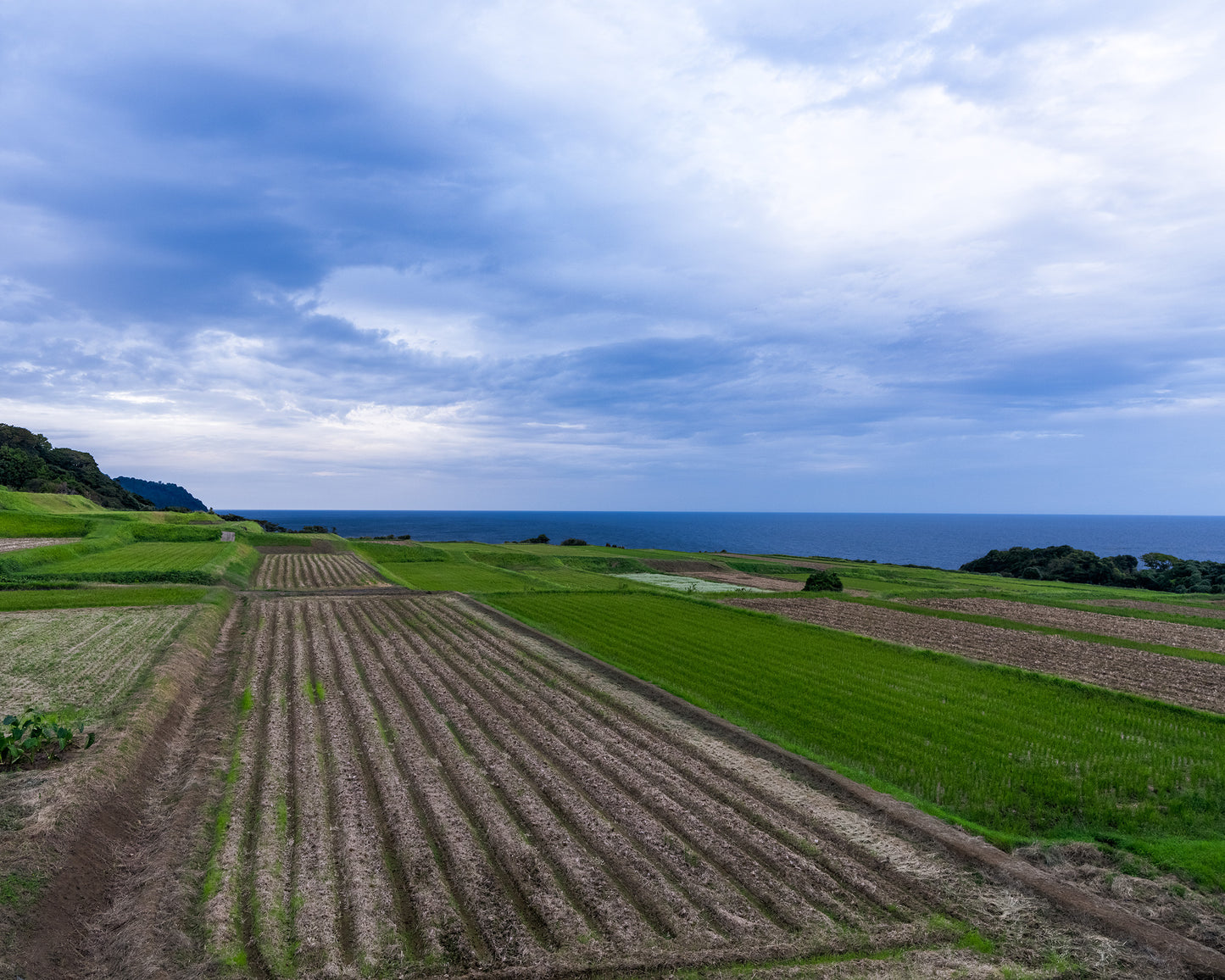 Rice Paddy Paradise 田