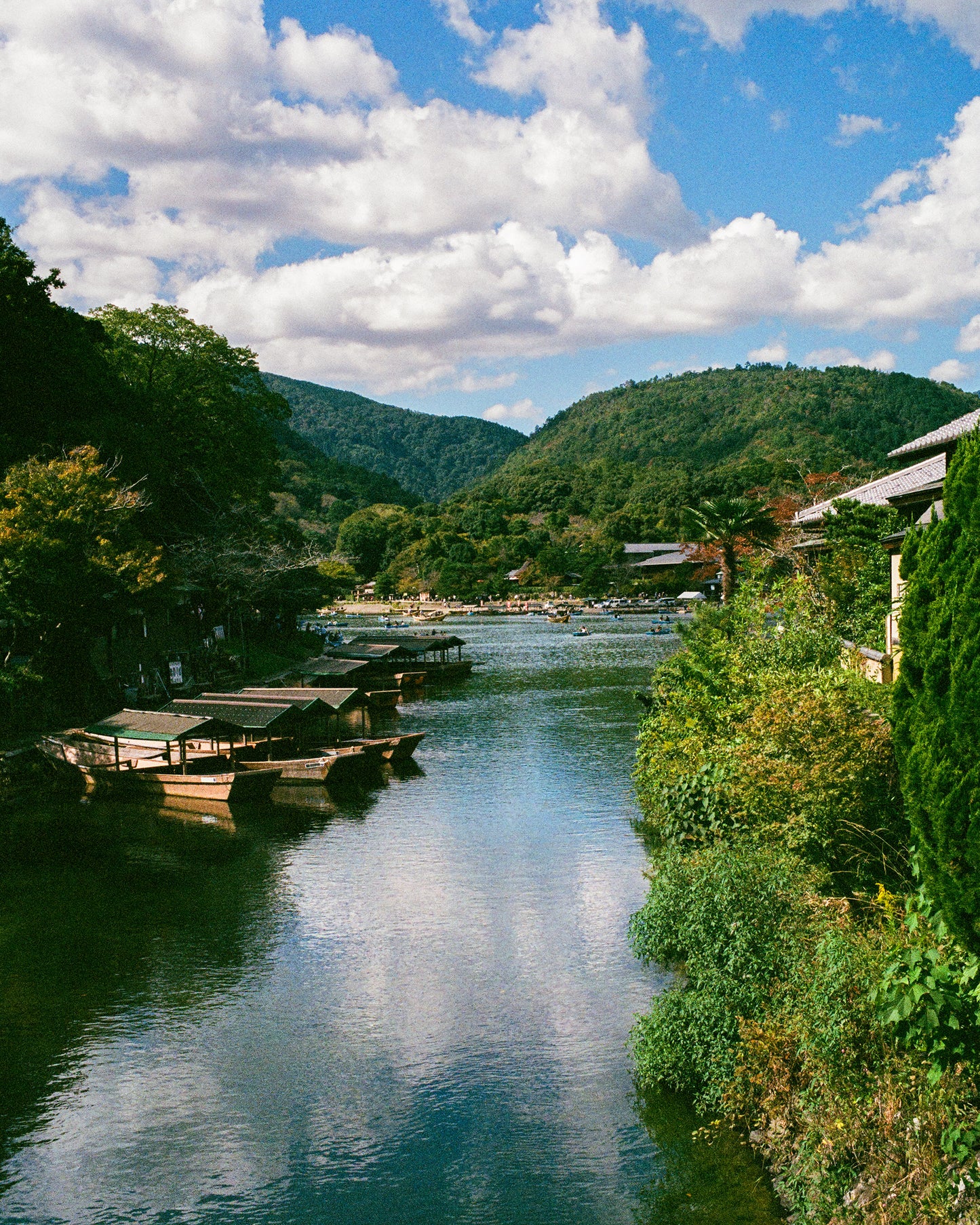 Noon at Katsura 桂川
