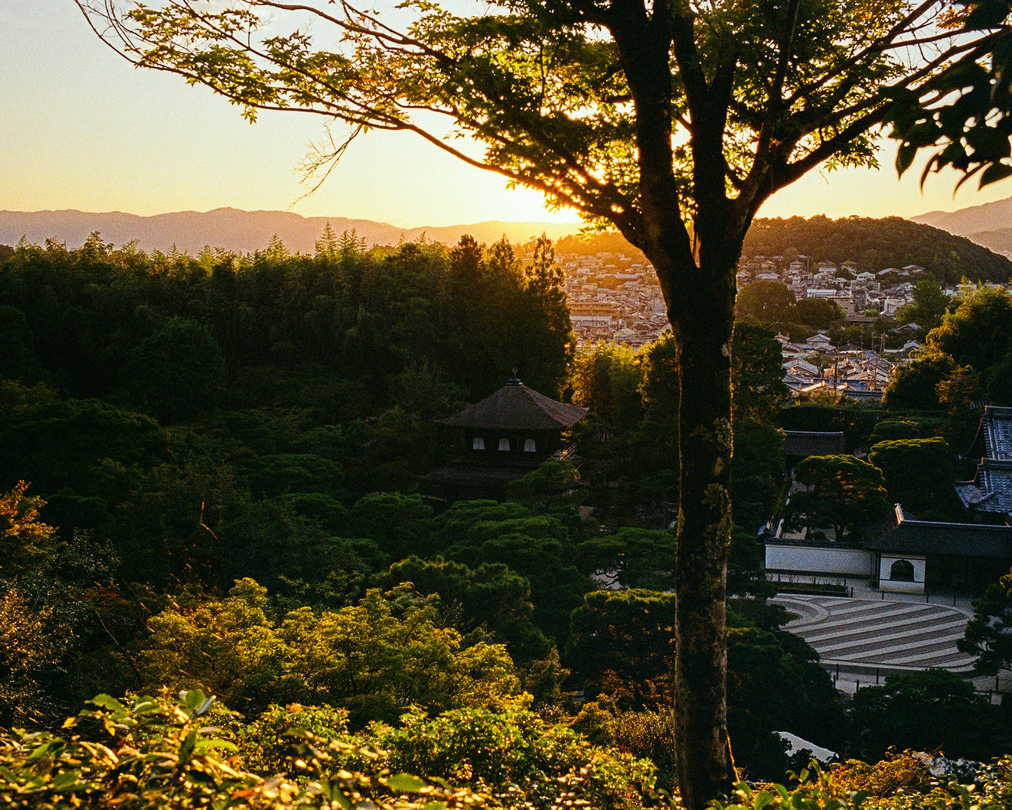Golden Light at Jisho Ji 慈照寺