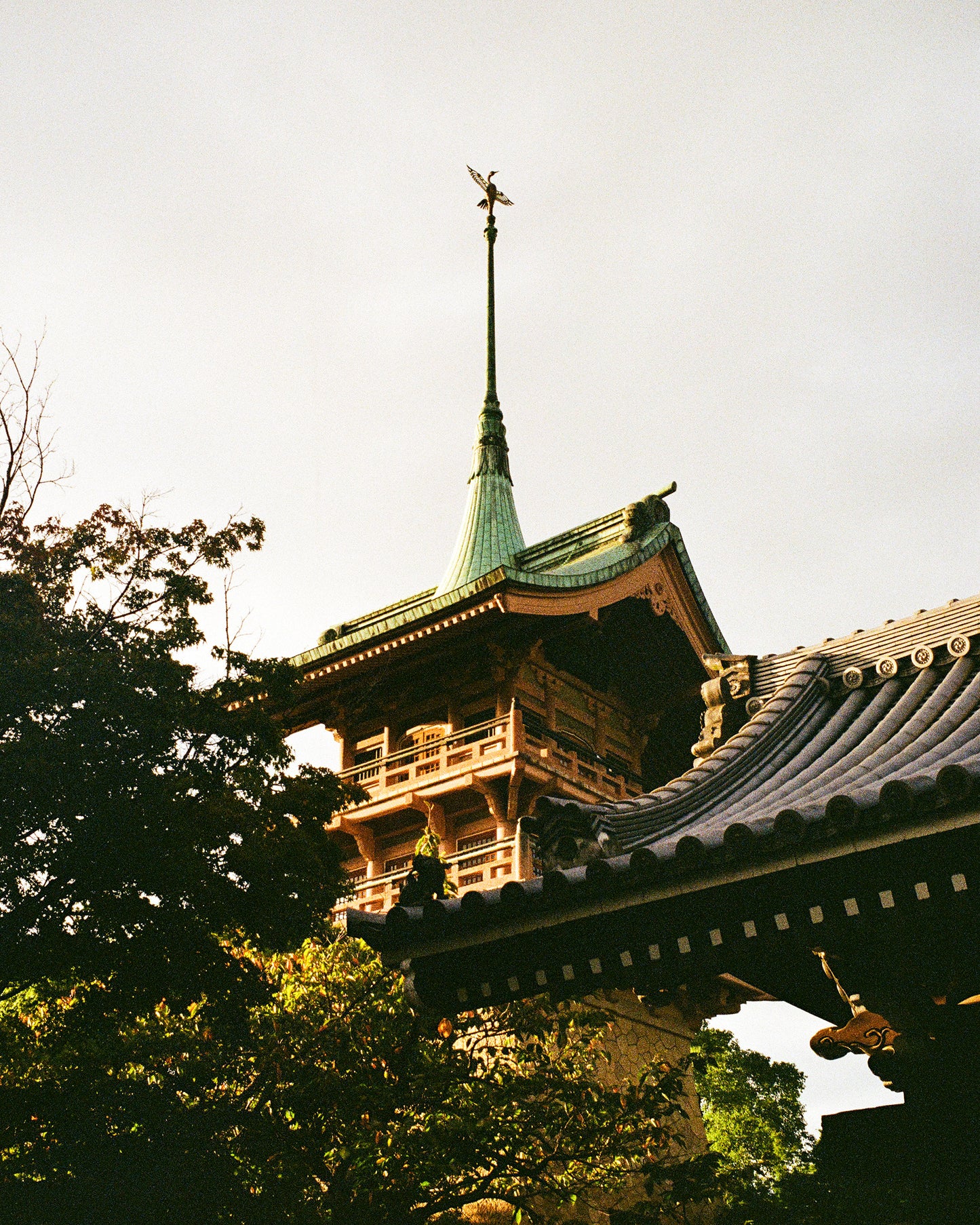 Crane atop Gion Kaku 祇園閣
