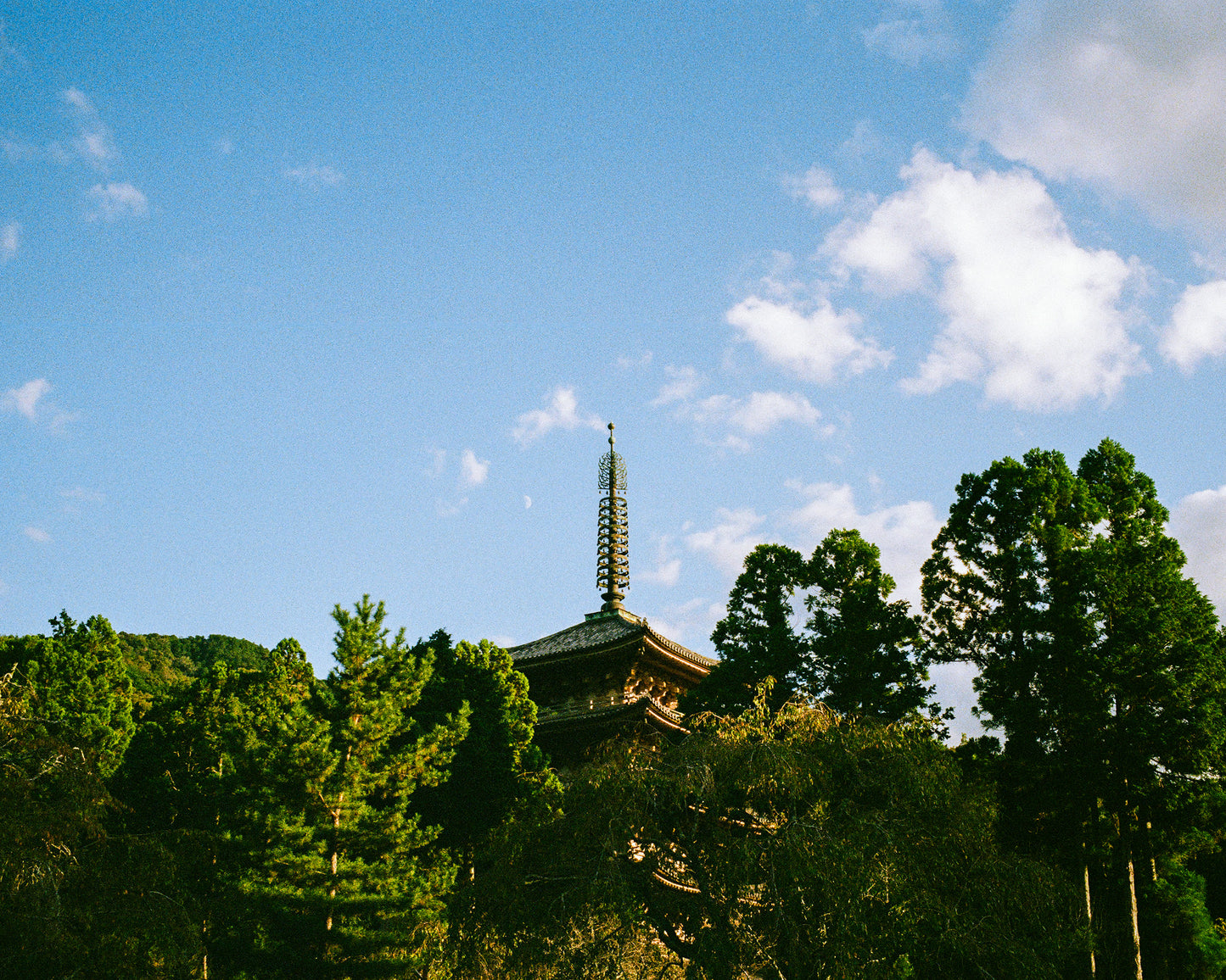 Gojunoto in the Trees 五重塔
