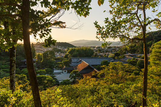 Light Peaking through at Jisho Ji 慈照寺