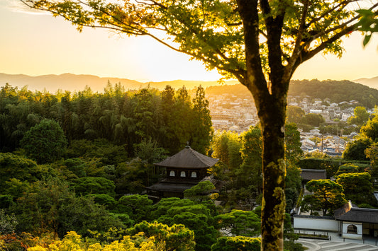 Golden Hour at Togudo 東求堂