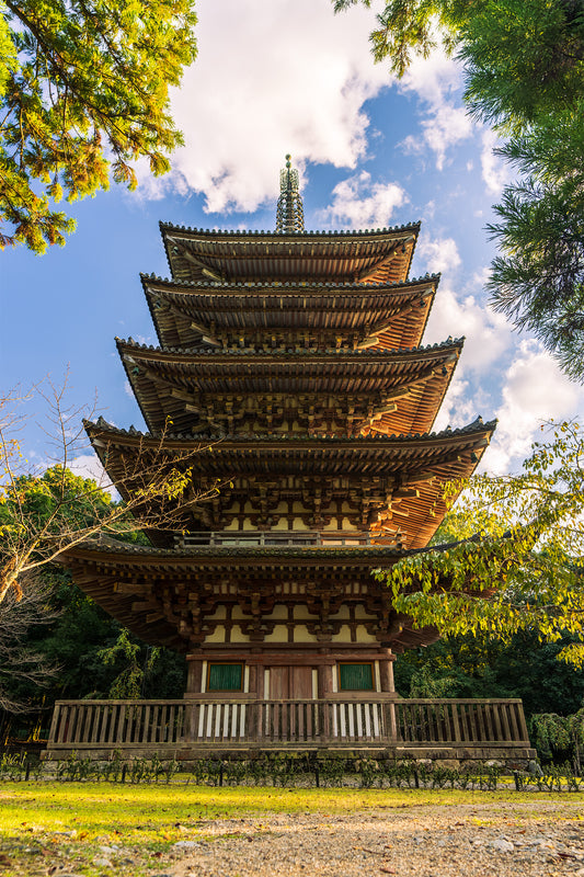 Gojunoto of Daigo Ji 五重塔 醍醐寺