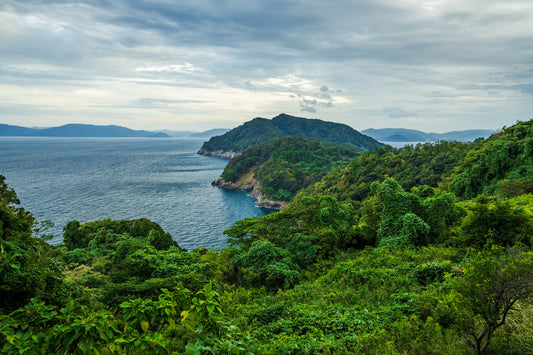 Wakasa Bay 若狭湾