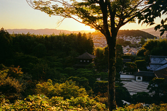 Golden Light at Jisho Ji 慈照寺