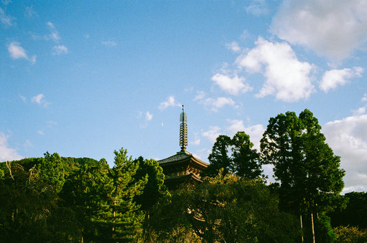 Gojunoto in the Trees 五重塔
