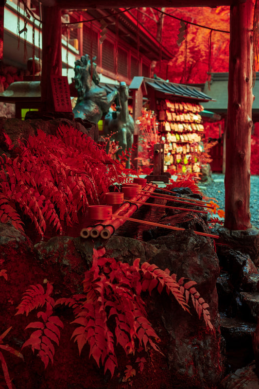 Temizuya Water Shrine 手水舎