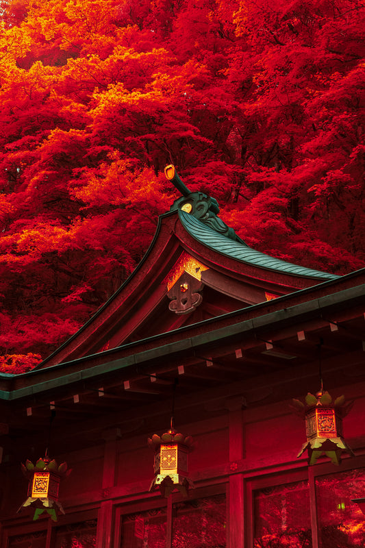 Hanging Lantern 吊り灯籠