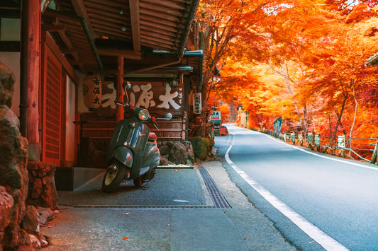 Parked at the Ryokan 旅館 駐車