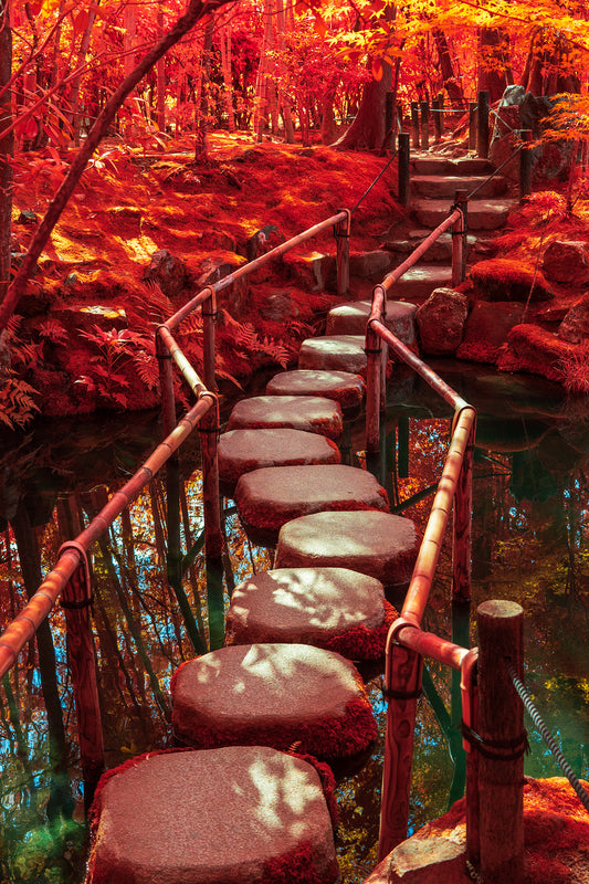 Flying Stones 飛石