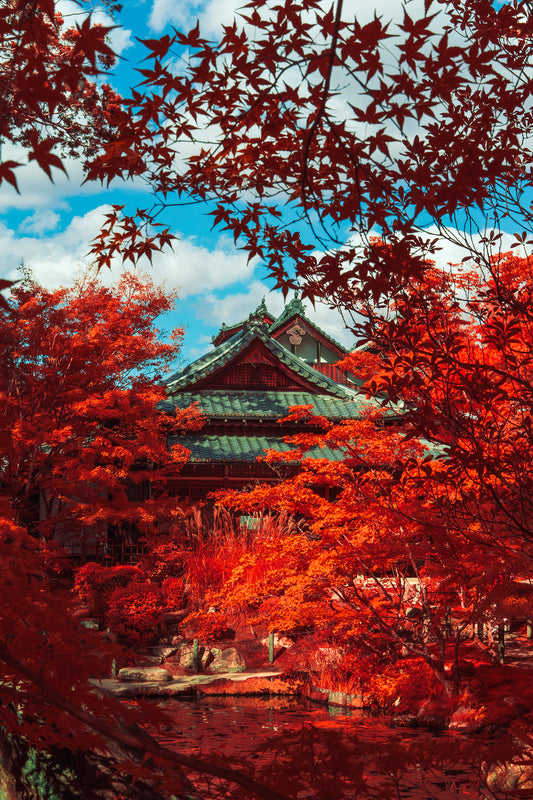 Tenjuan Temple 南禅寺塔頭