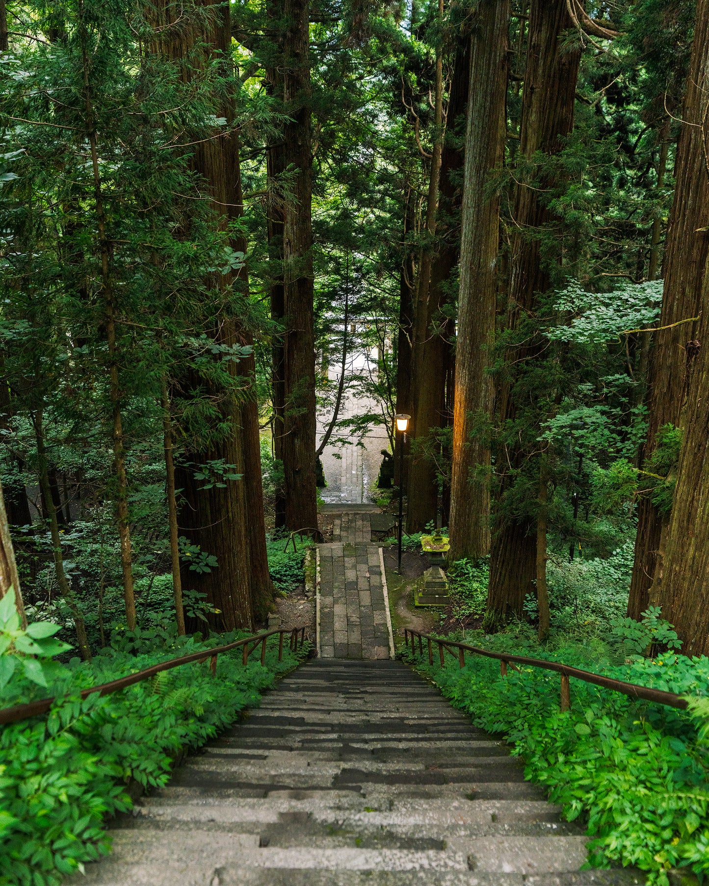 The Path to Togakushi Shrine 戸隠神社