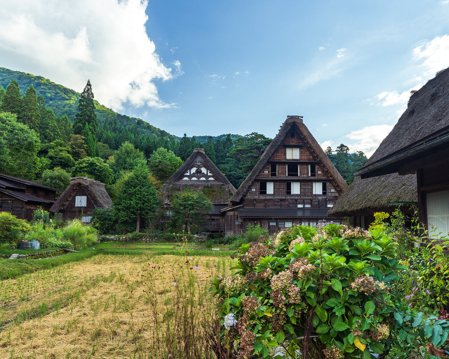 Gassho-zukuri Houses 合掌造