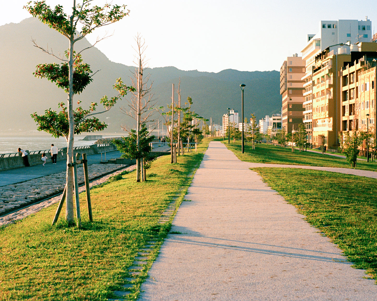 Early walk beside Beppu Bay 別府湾