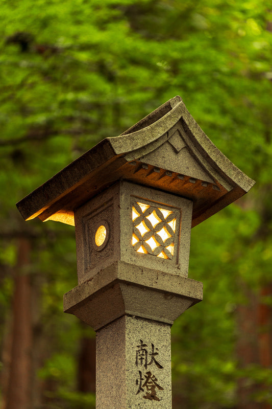 Offering of a Lantern 献燈