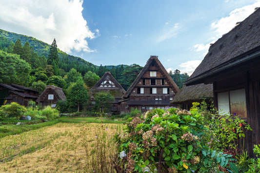 Gassho-zukuri Houses 合掌造