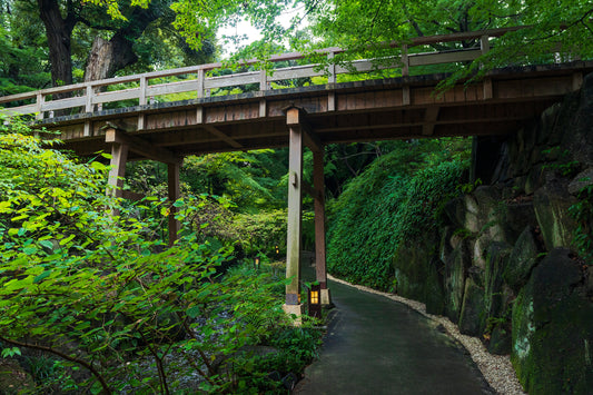 A Stroll through Tokugawa Garden 徳川園
