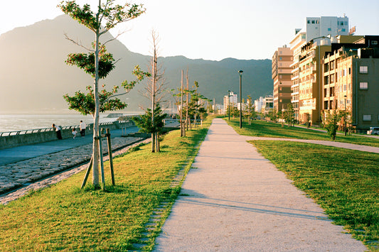 Early walk beside Beppu Bay 別府湾