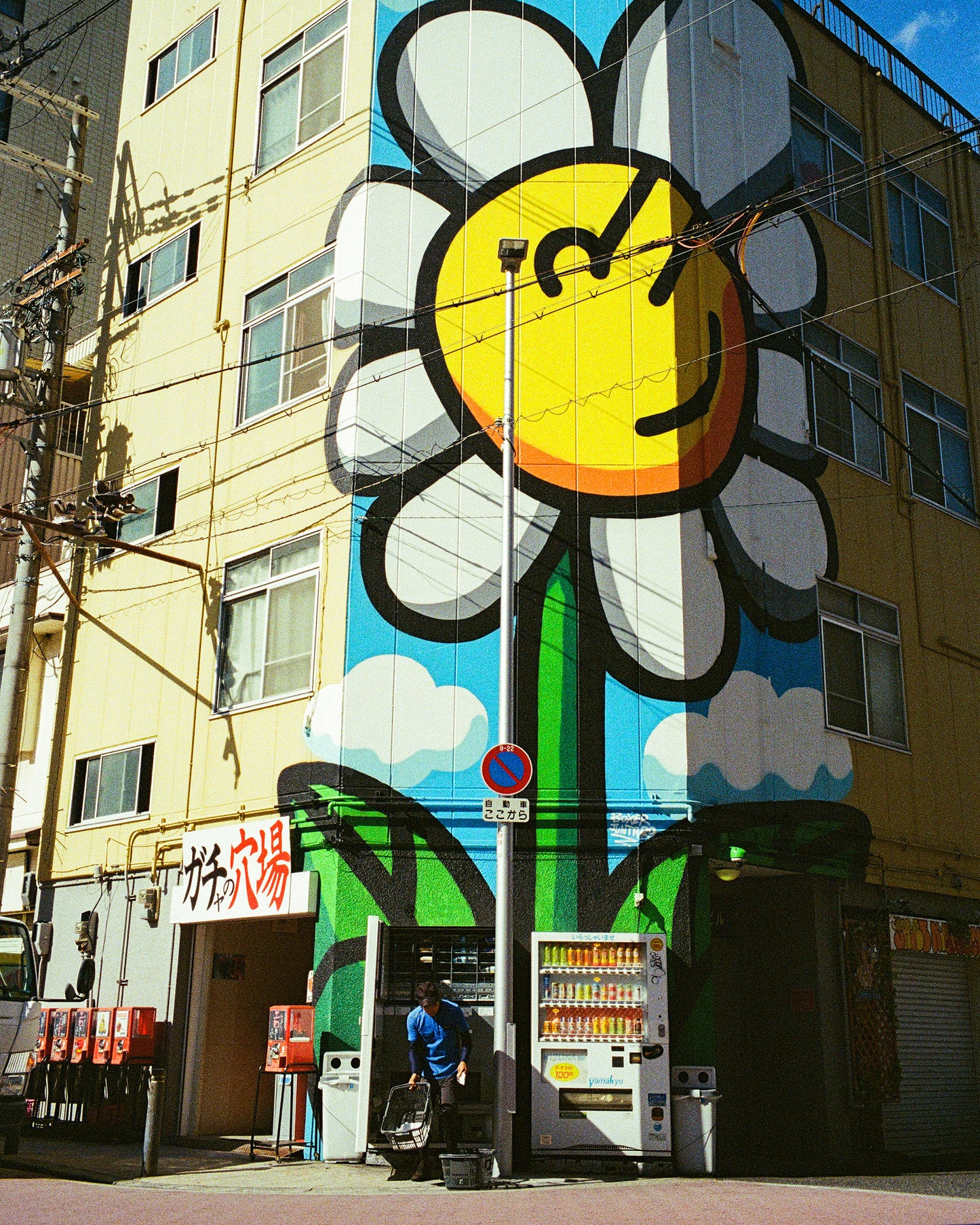 Flower Power 花