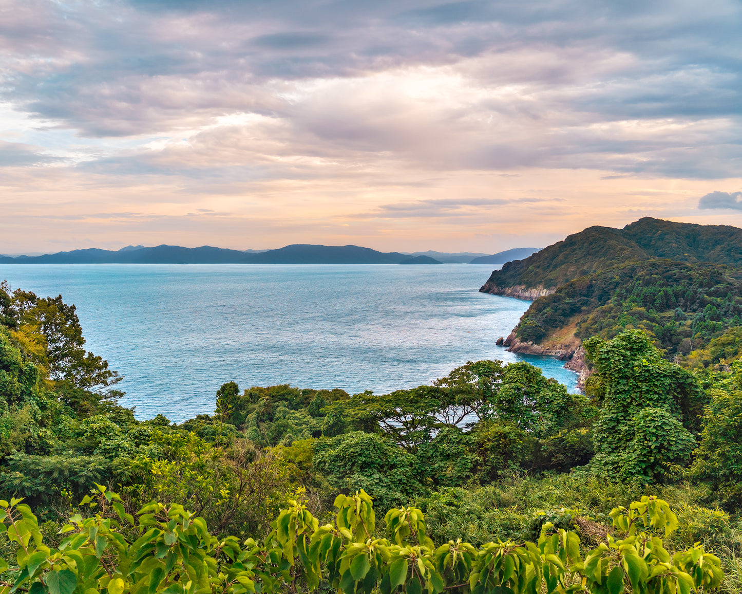 Wasaka Bay 和坂